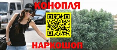 гидропоника Гусев