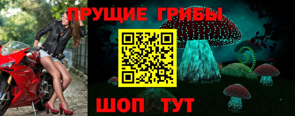 Хабаровск  Галлюциногенные грибы ЛСД  Вход с VPN 